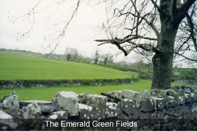 The Emerald Green Fields
