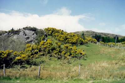 Ireland